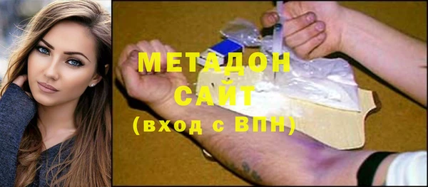 сатива Новодвинск
