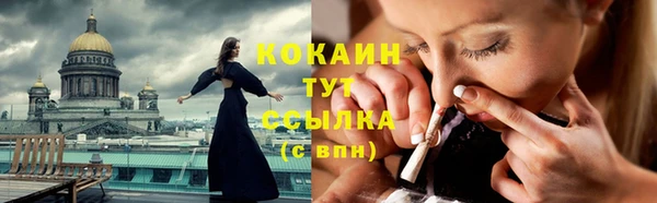 сатива Новодвинск