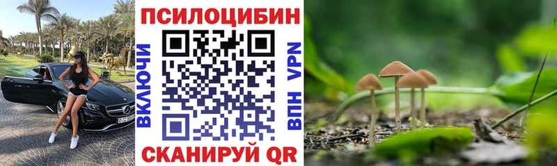 что такое наркотик  Юрьевец  Псилоцибиновые грибы GOLDEN TEACHER 
