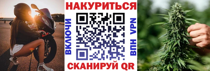 Конопля сатива  Юрьевец 